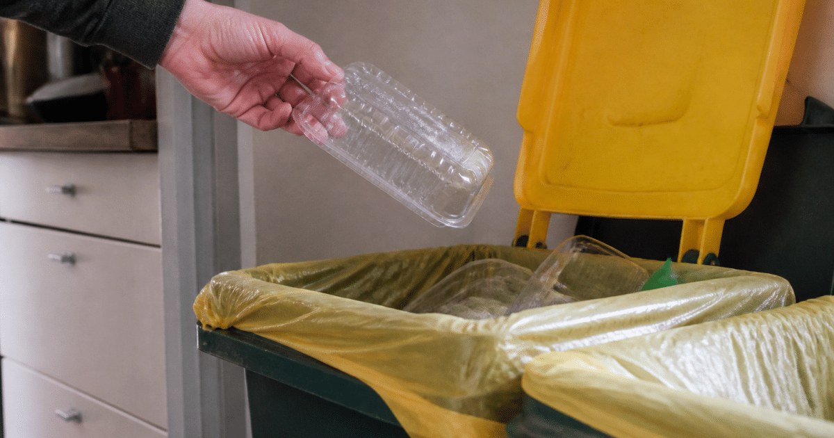 Main tenant barquette plastique au-dessus bac recyclage ouvert