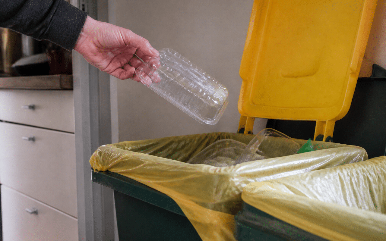 Main tenant barquette plastique au-dessus bac recyclage ouvert