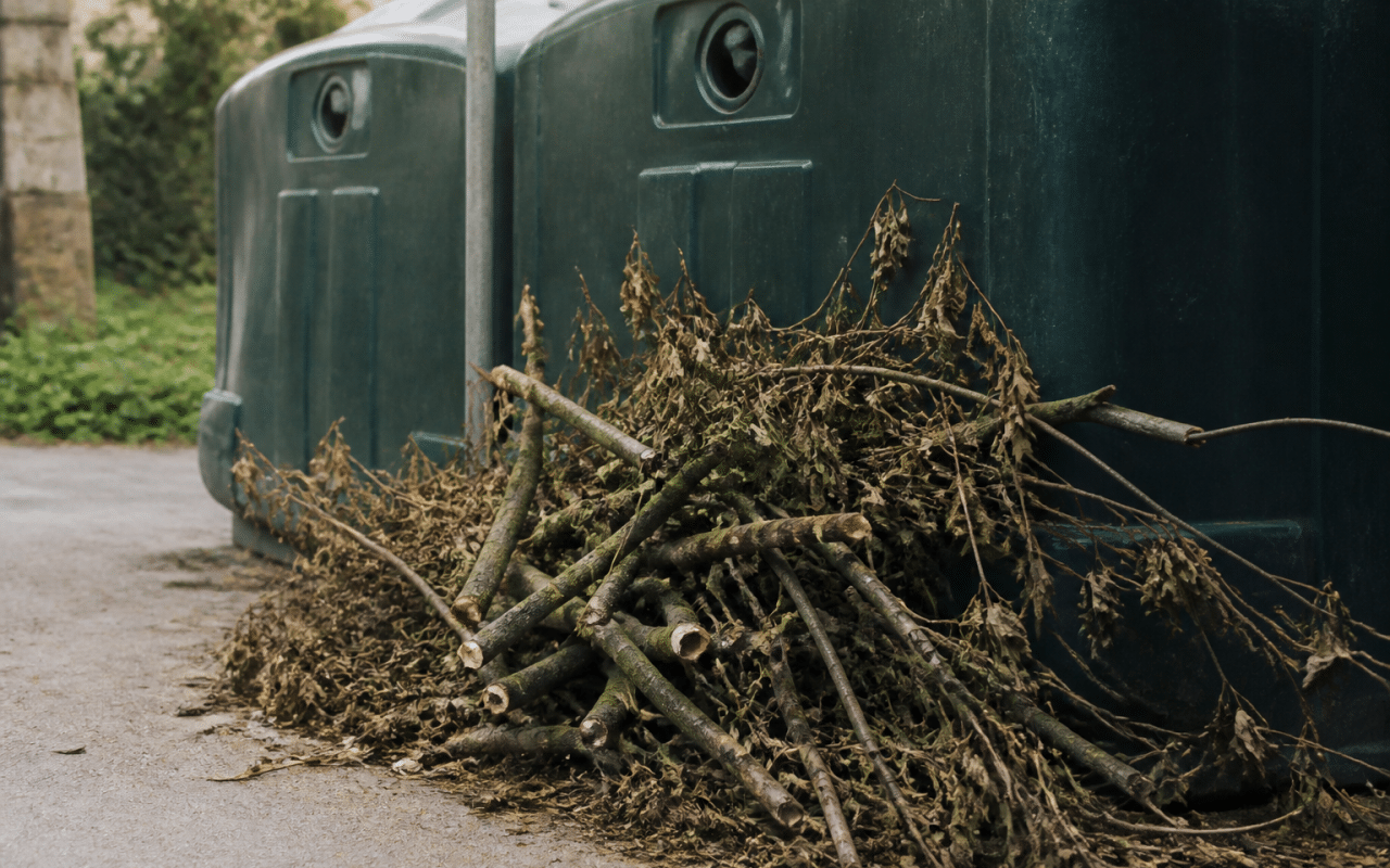 Tas de branches coupees posees contre conteneur recyclage