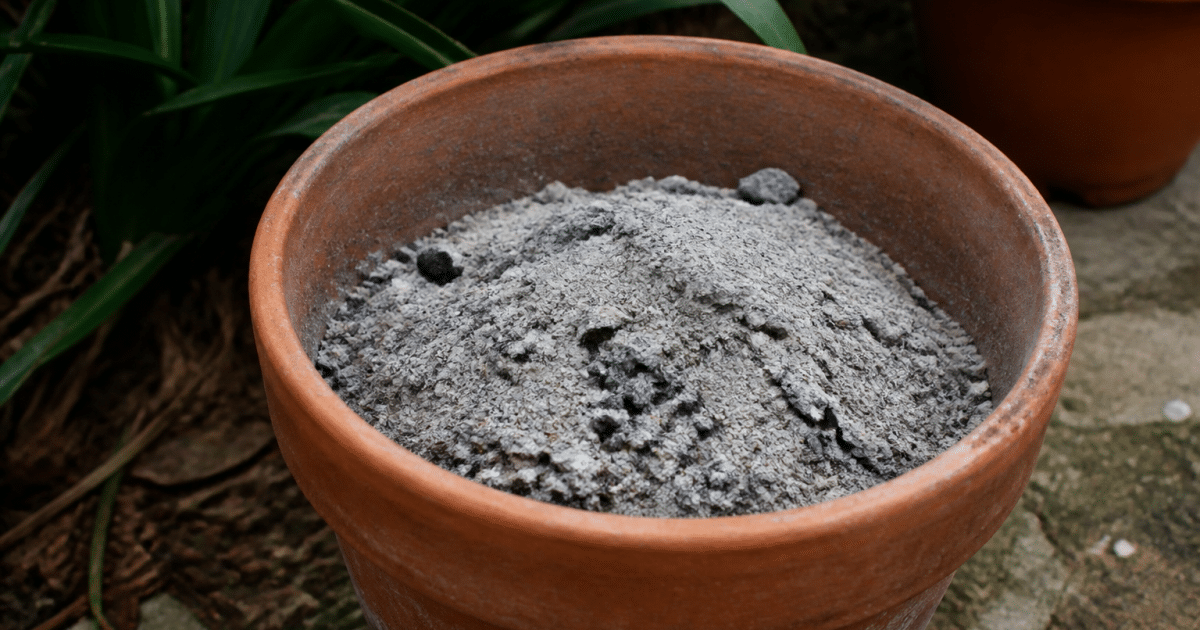 Tas de cendres grises versees dans pot terre jardin