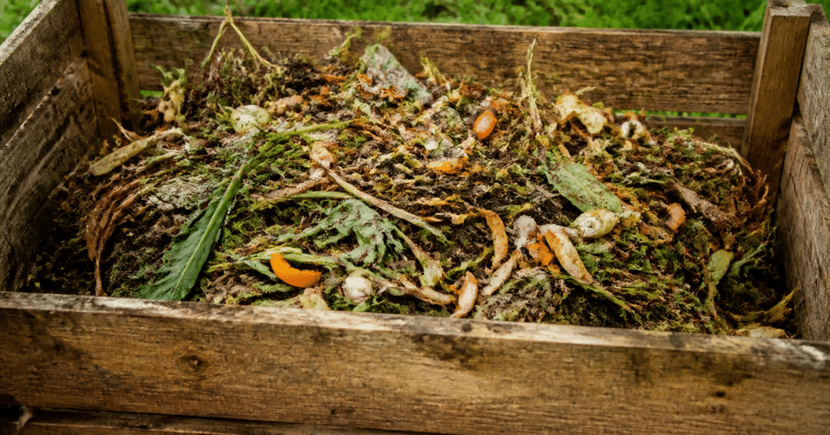 Bac de compost rempli de dechets organiques et vegetaux empiles