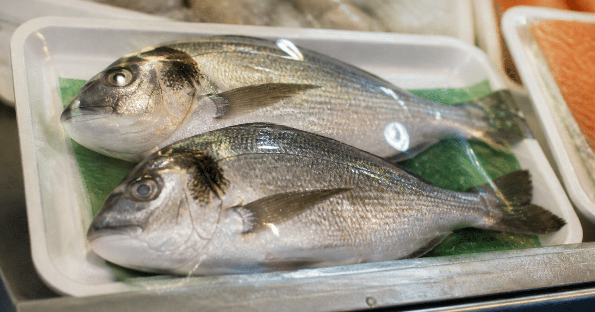 Etiquette de poisson affichant informations texte lisibles sur emballage