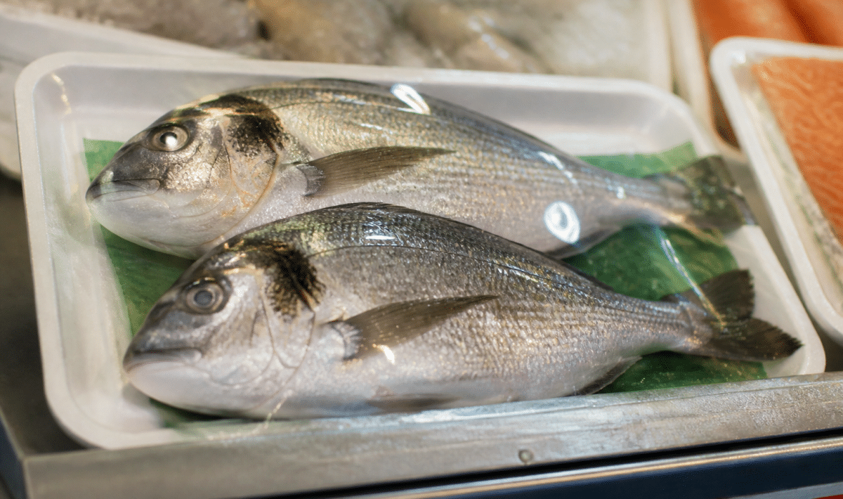 Etiquette de poisson affichant informations texte lisibles sur emballage