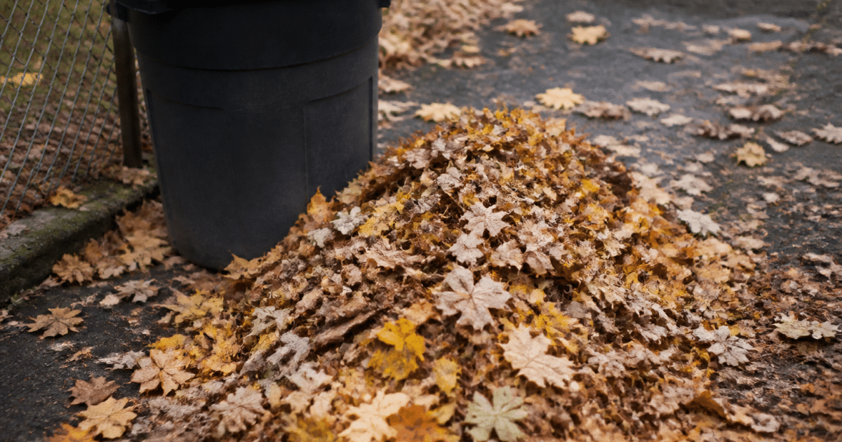 Tas de feuilles automnales amonceles au sol pres poubelle