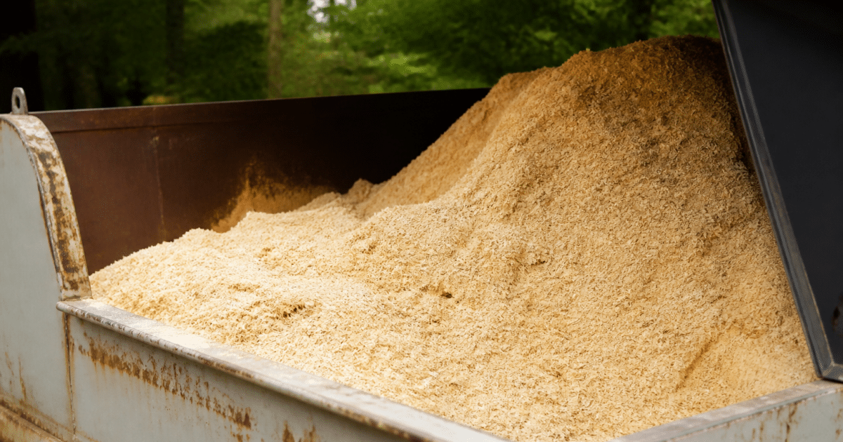 Tas de sciure de bois empile dans un conteneur ouvert