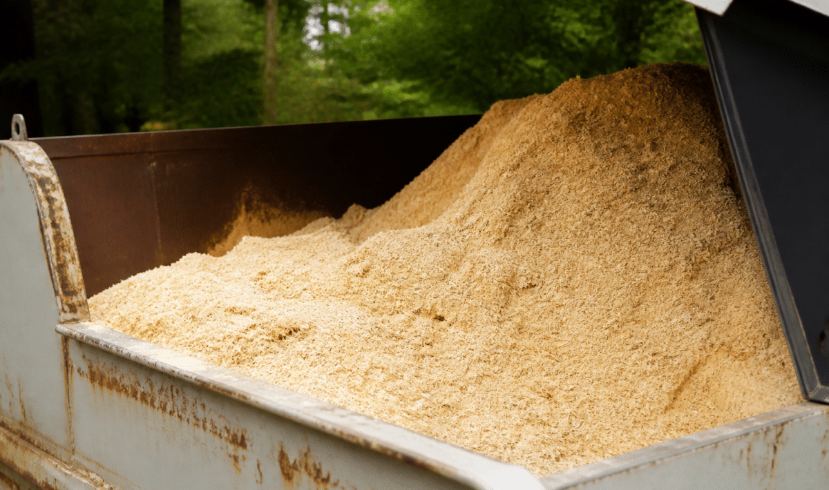 Tas de sciure de bois empile dans un conteneur ouvert