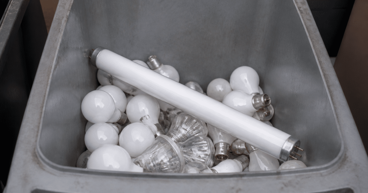 Tube fluorescent allonge dans bac recyclage specialise