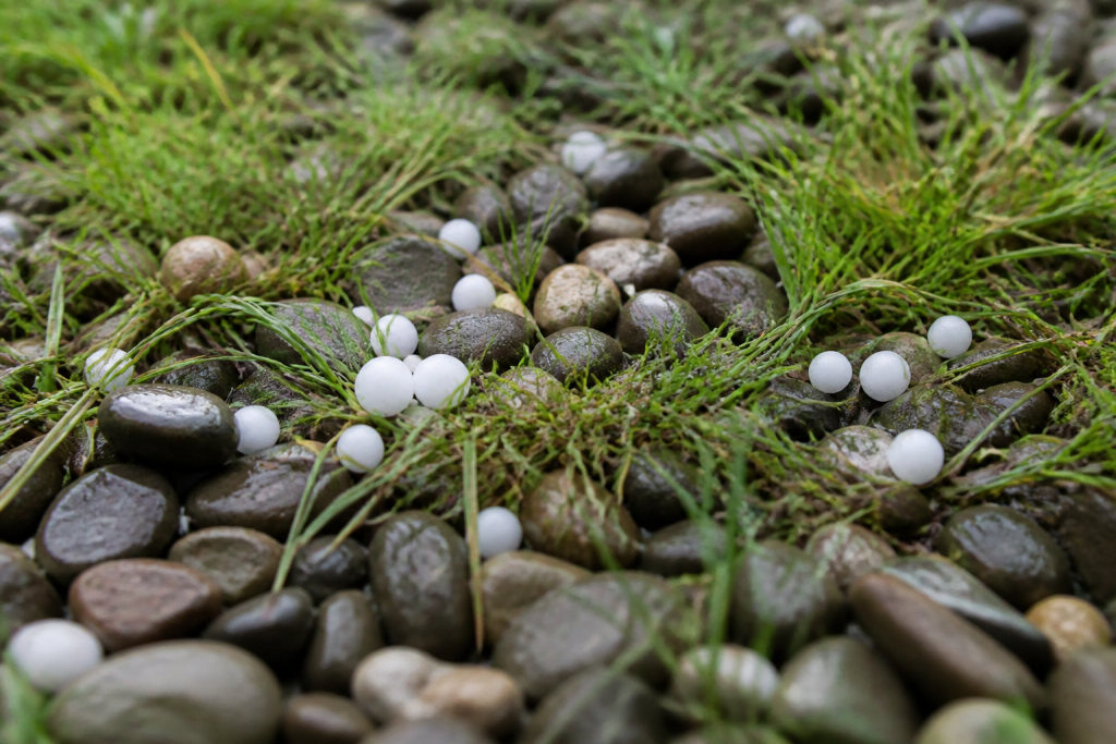 Billes blanches eparpillees entre galets mouilles et herbes vertes